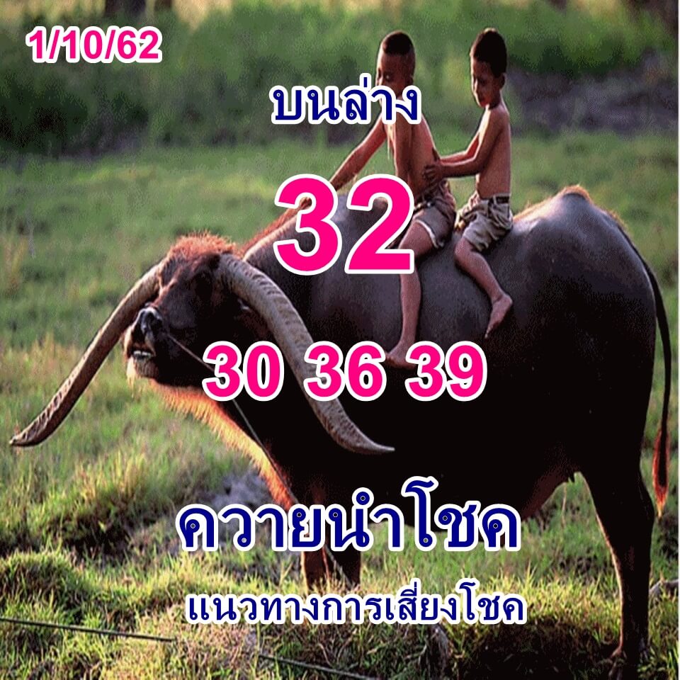 หวยควายนำโชค 1/10/62