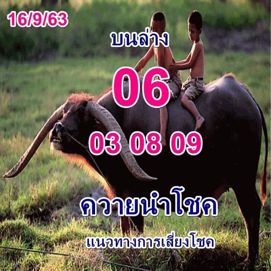 หวยควายนำโชค 16/9/63