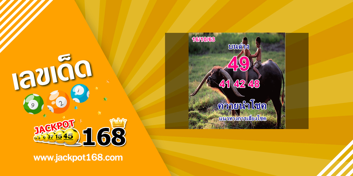 หวยควายนำโชค 16/10/63 เลขเด็ดหวยพี่ควายแม่นที่สุด!