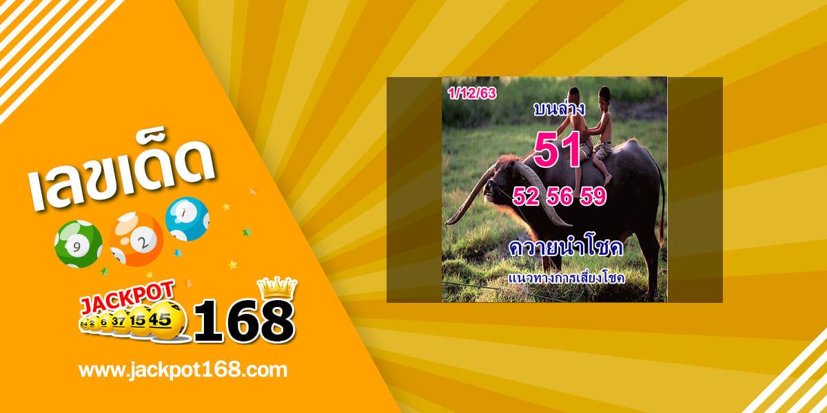 หวยควายนำโชค 1/12/63 แนวทางการเสี่ยงโชค บน-ล่าง!