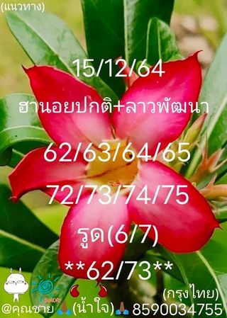 หวยฮานอย 15/12/64 ชุดที่ 6