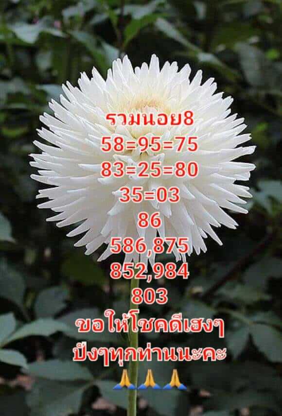 หวยฮานอย 8/8/65 ชุดที่ 1