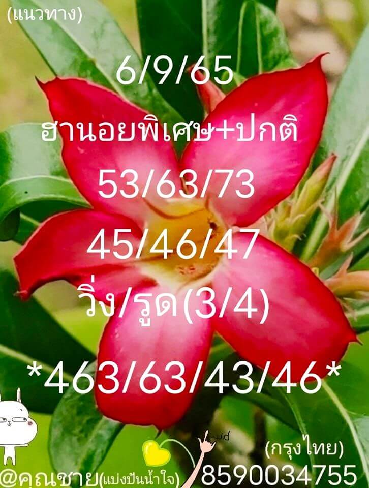 หวยฮานอย 6/9/65 ชุดที่ 8