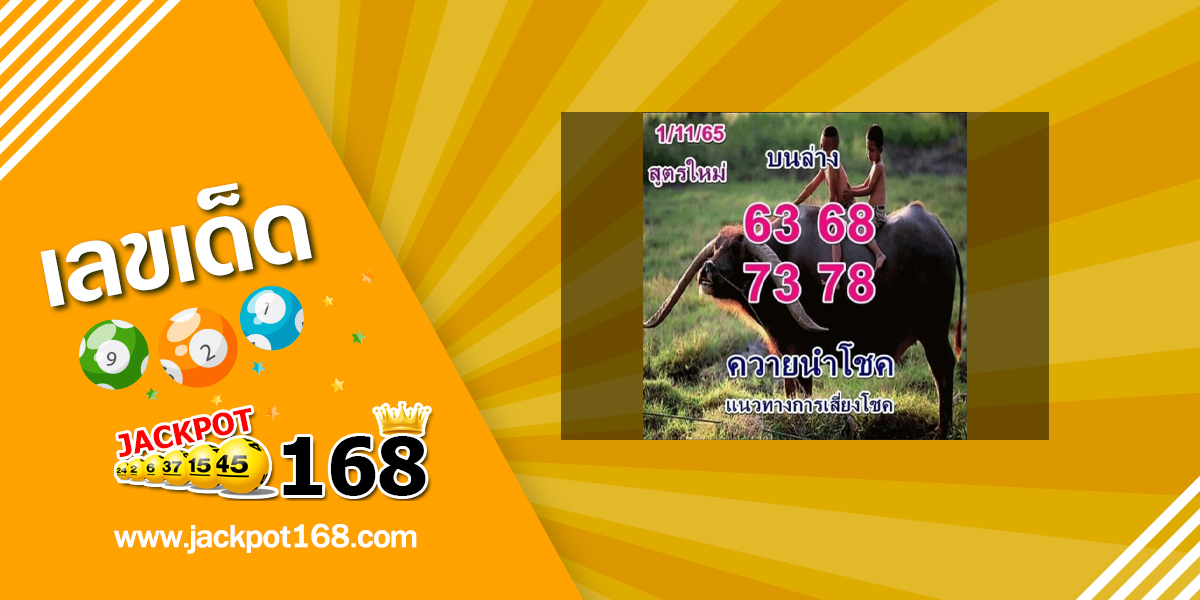 หวยควายนำโชค 1/11/65 แนวทางการเสี่ยงโชค บน-ล่าง สูตรใหม่!