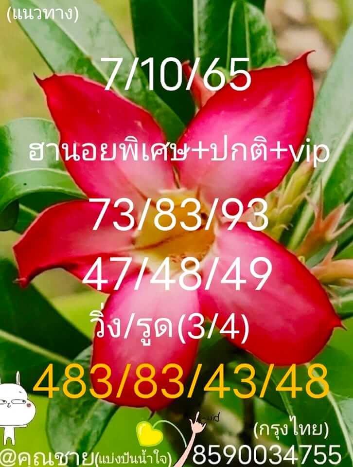 หวยฮานอย 7/10/65 ชุดที่ 6