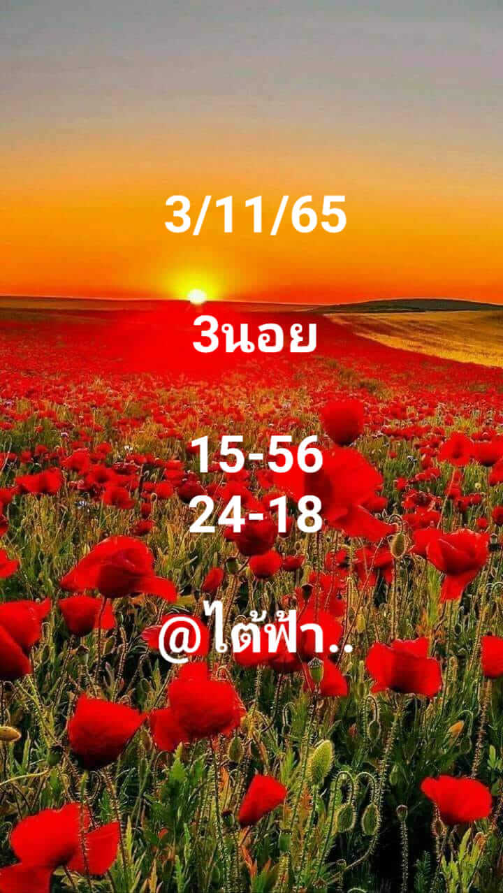 หวยฮานอย 3/11/65 ชุดที่ 8