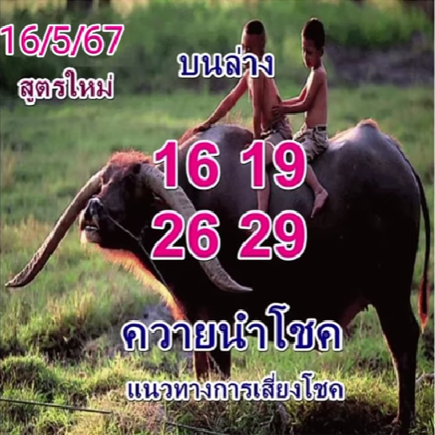 หวยควายนำโชค 16/5/67