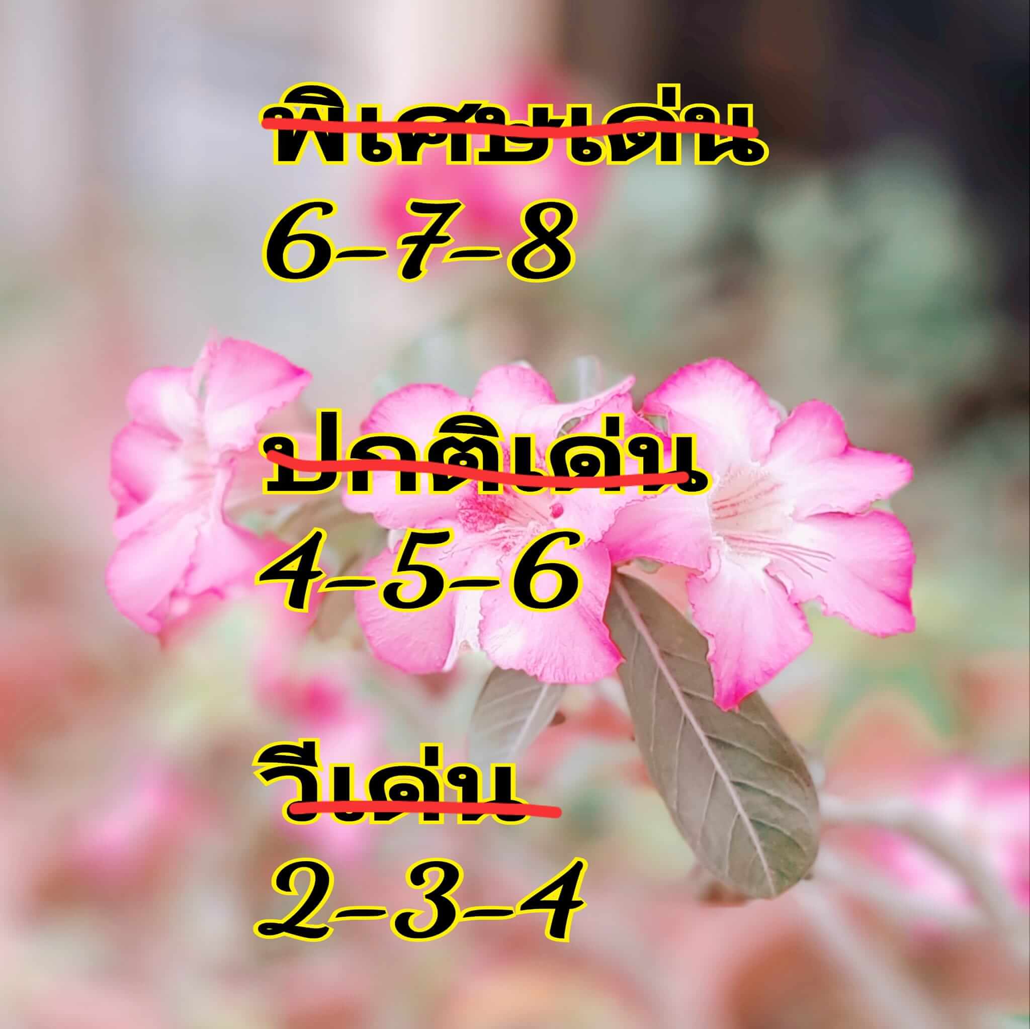 หวยฮานอย 13/5/67 ชุดที่ 1