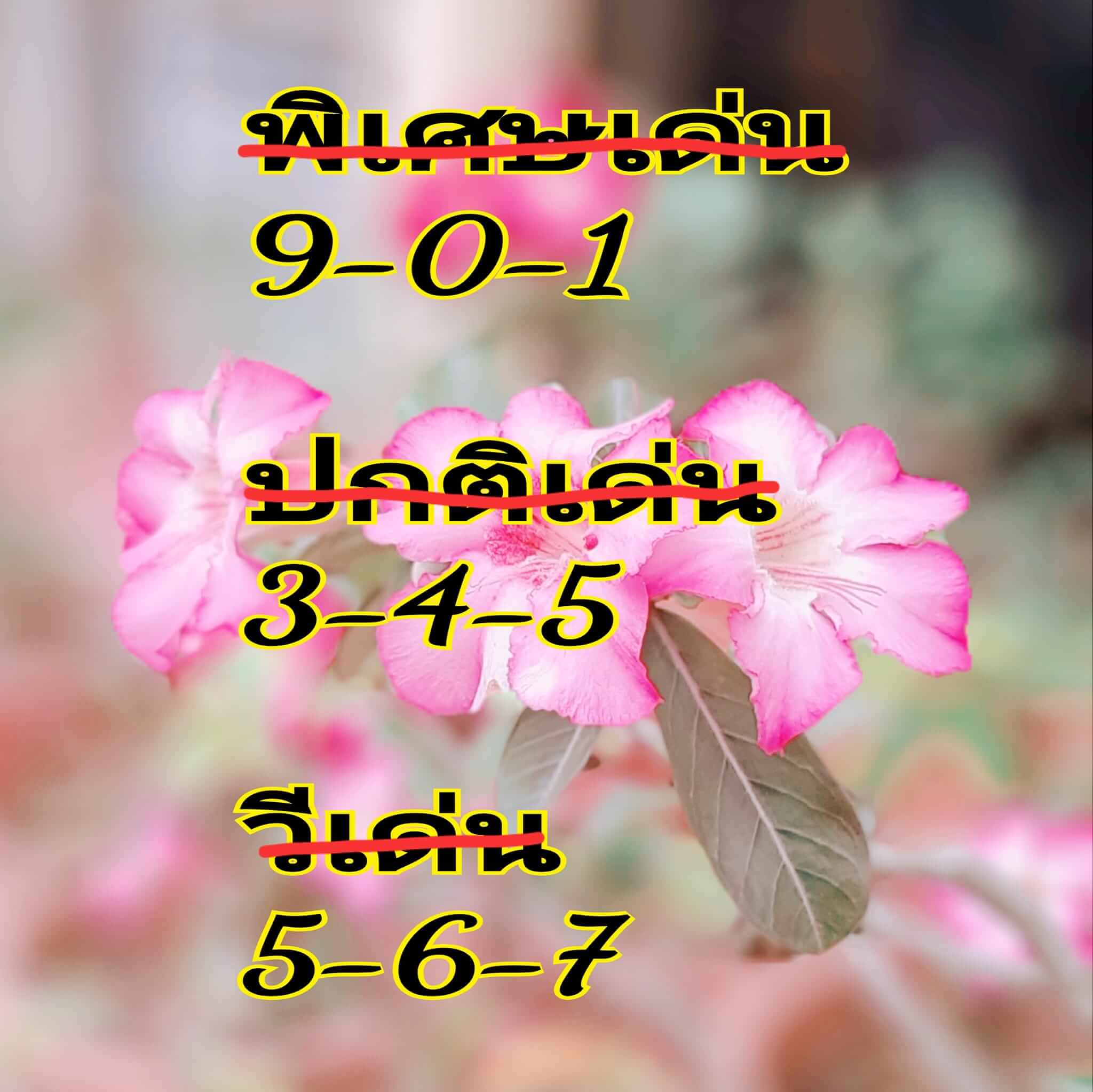 หวยฮานอย 30/5/67 ชุดที่ 2