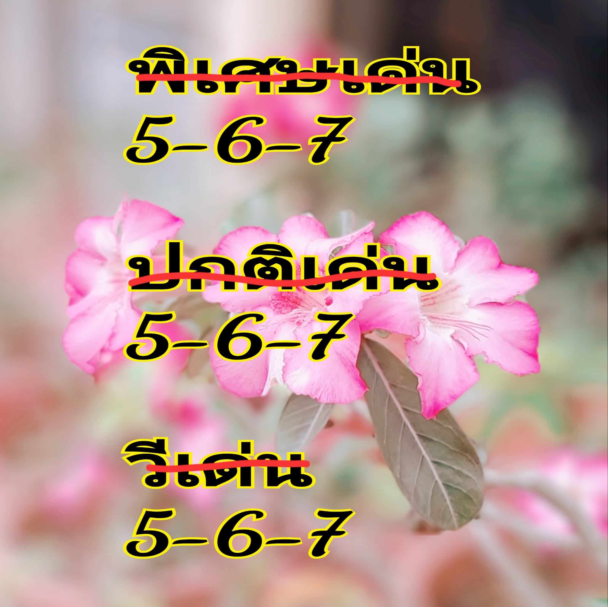 หวยฮานอย 23/5/67 ชุดที่ 3