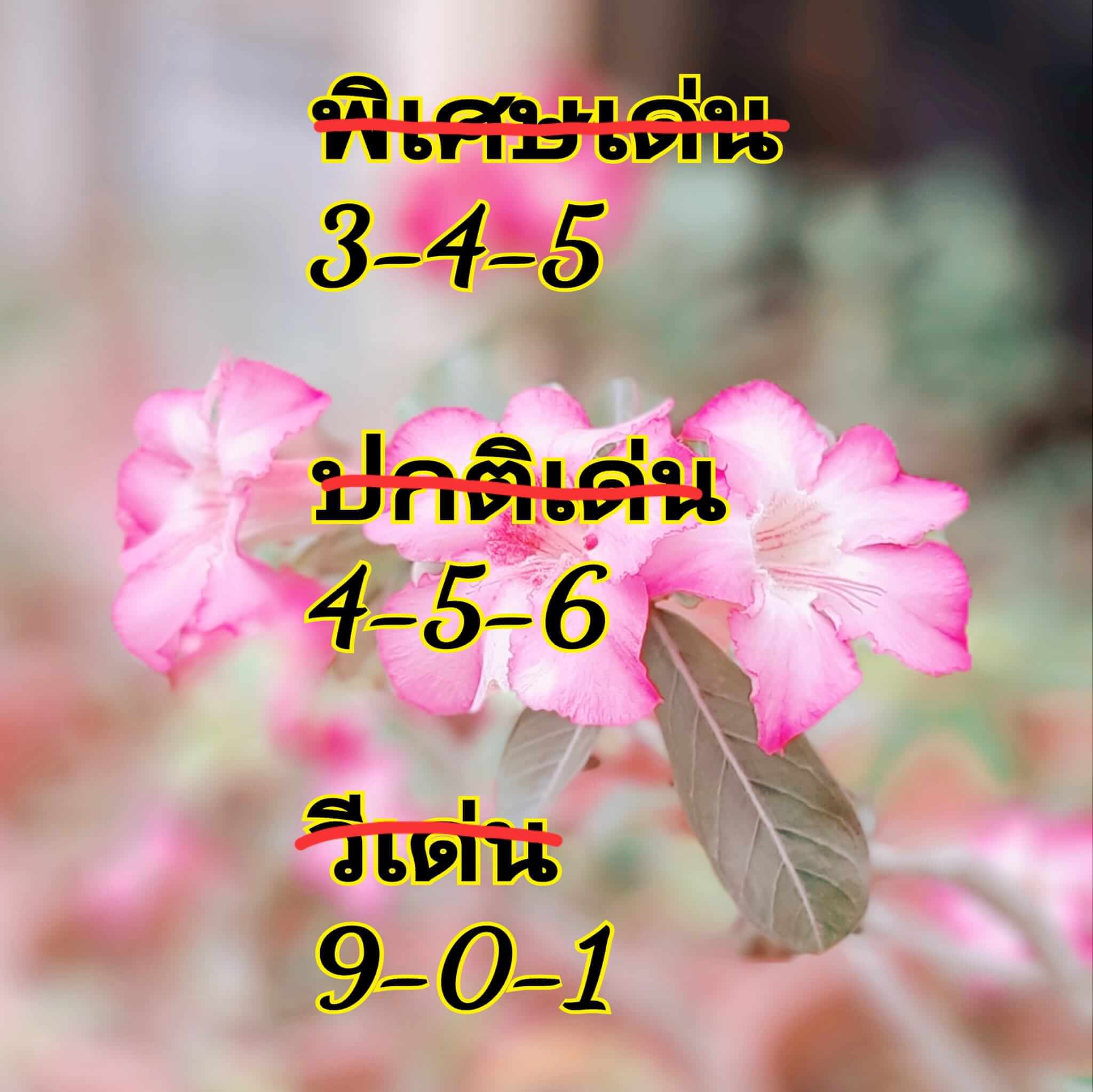 หวยฮานอย 14/5/67 ชุดที่ 4