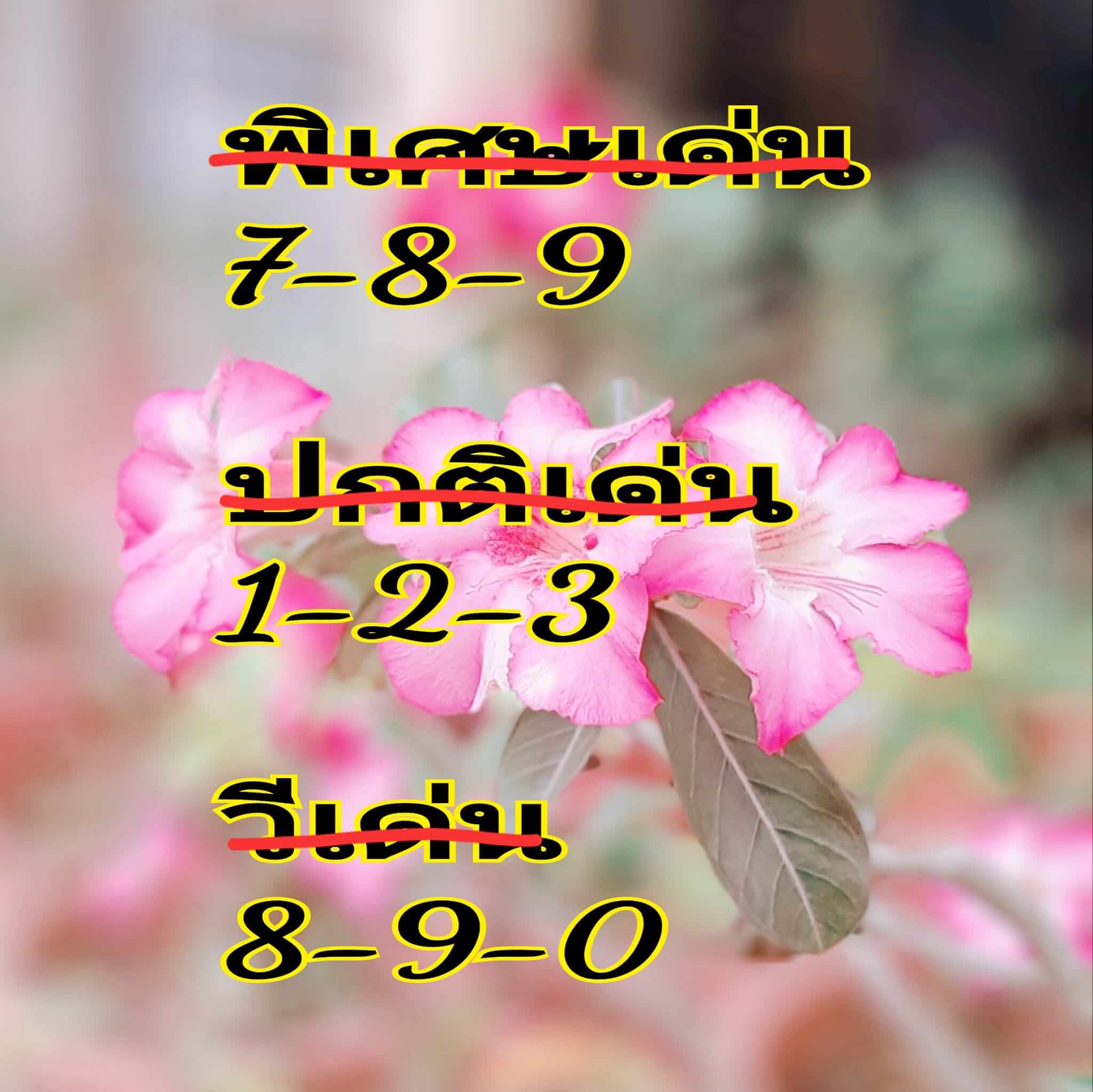 หวยฮานอย 18/6/67 ชุดที่ 2