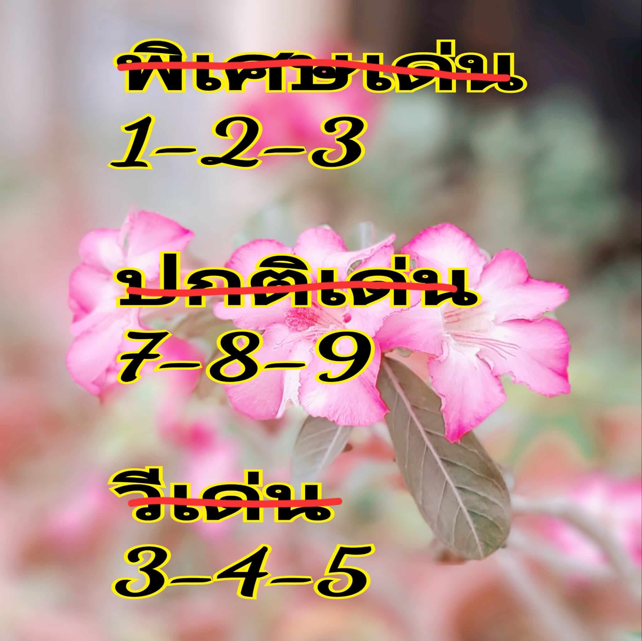 หวยฮานอย 14/6/67 ชุดที่ 3