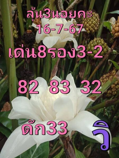 หวยฮานอย 16/7/67 ชุดที่ 3