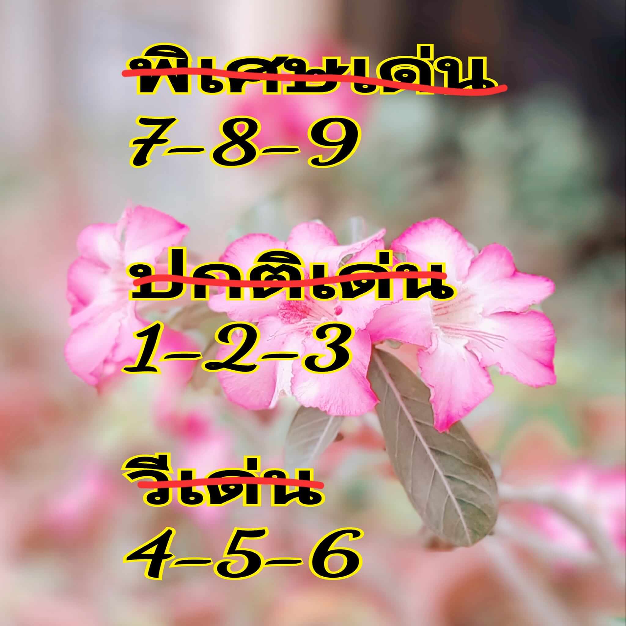 หวยฮานอย 10/7/67 ชุดที่ 9