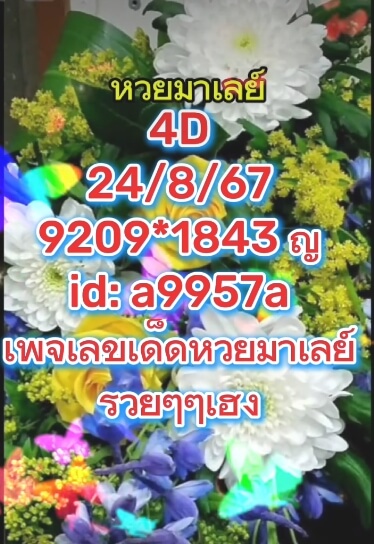 หวยมาเลย์ 24/8/67 ชุดที่ 8