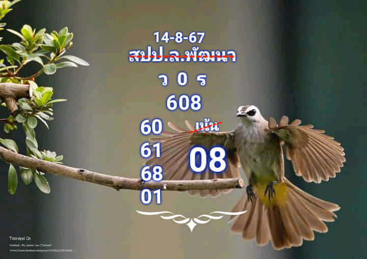 หวยลาว 14/8/67 ชุดที่ 6