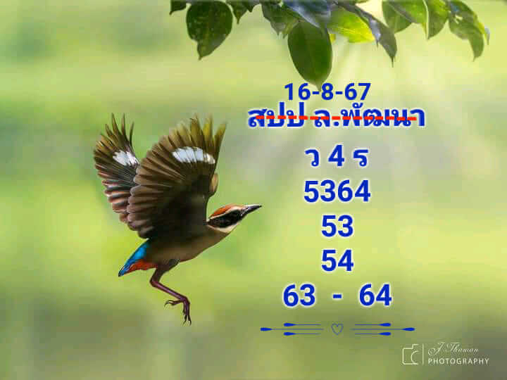 หวยลาว 16/8/67 ชุดที่ 8