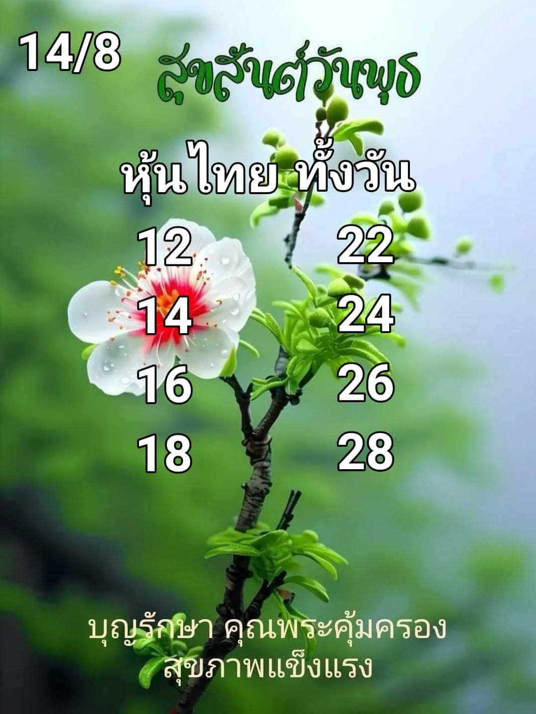 หวยหุ้น 14/8/67 ชุดที่ 10