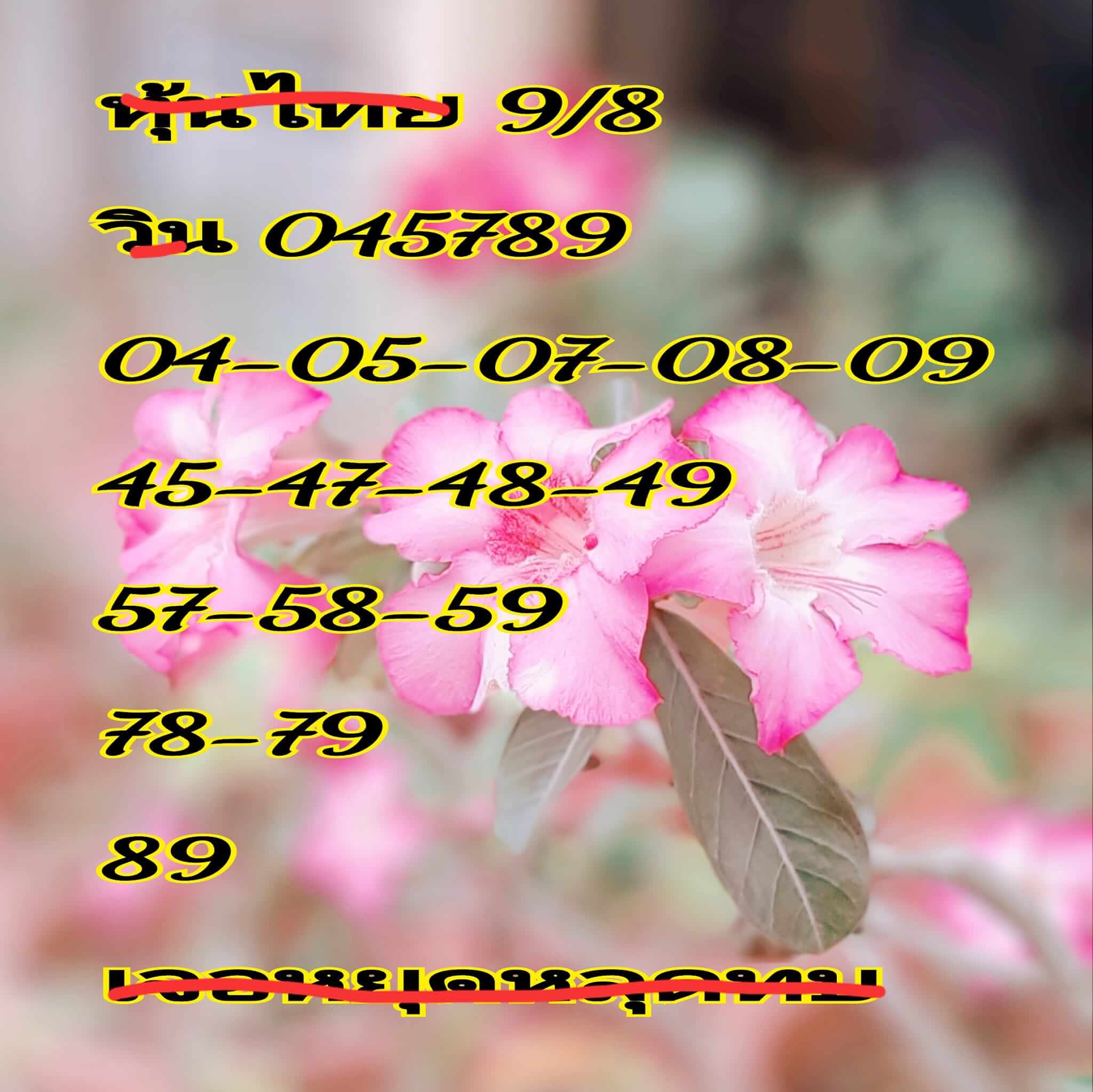 หวยหุ้น 9/8/67 ชุดที่ 8