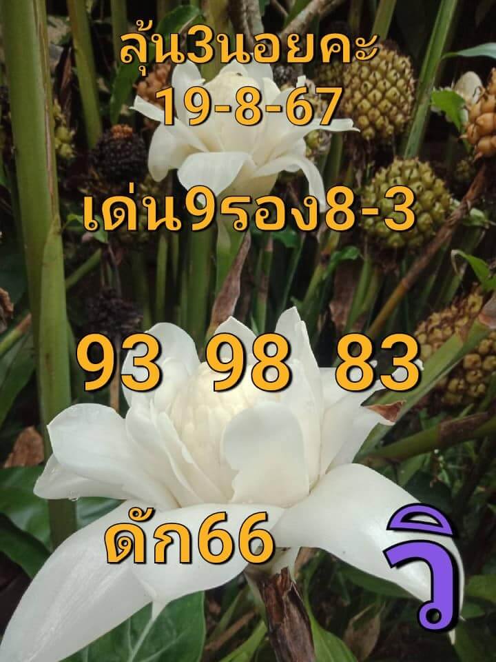 หวยฮานอย 19/8/67 ชุดที่ 2