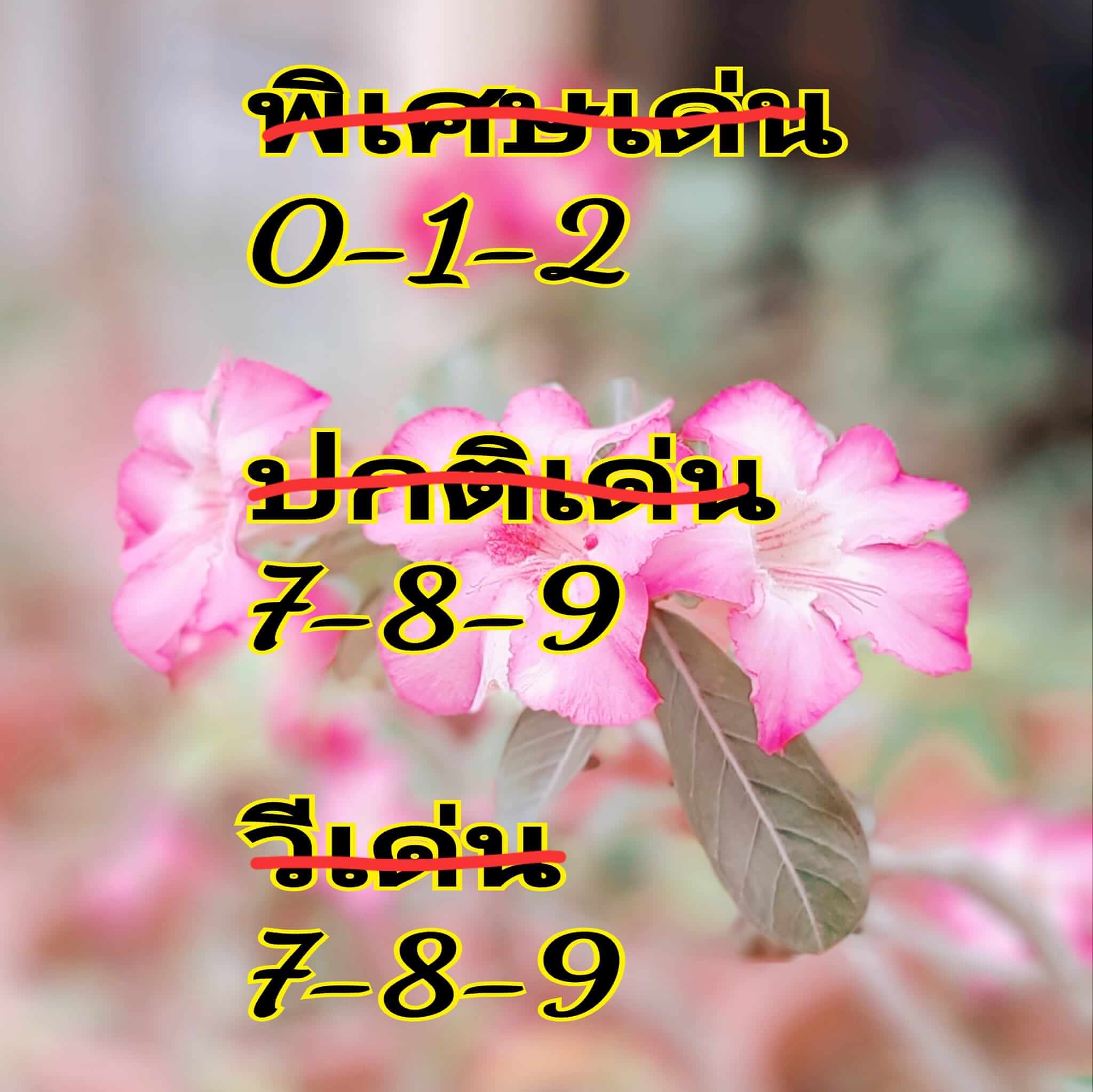 หวยฮานอย 2/8/67 ชุดที่ 4