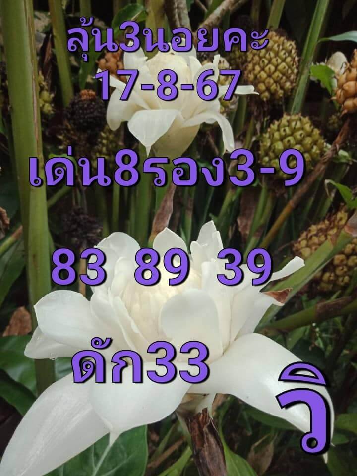 หวยฮานอย 17/8/67 ชุดที่ 9