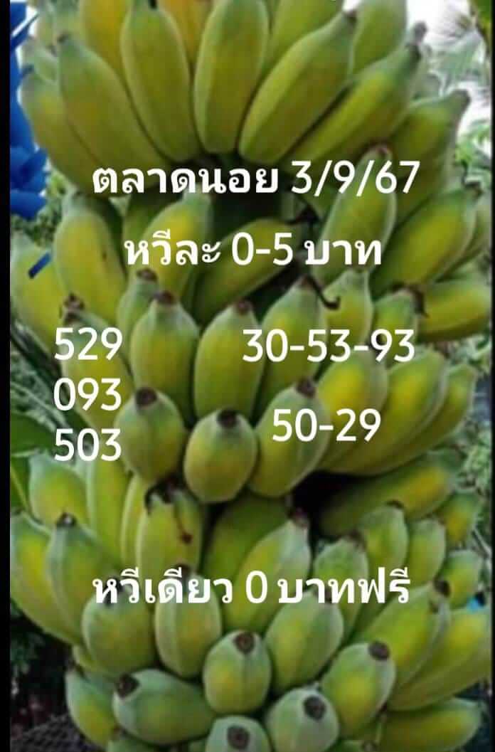 หวยฮานอย 3/9/67 ชุดที่ 10