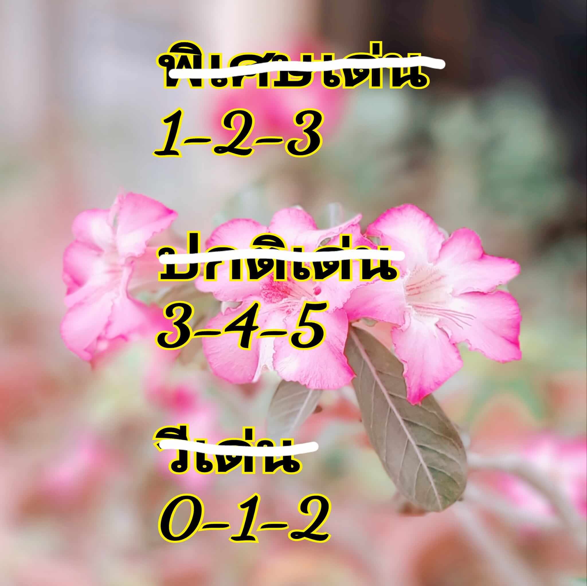 หวยฮานอย 13/9/67 ชุดที่ 2