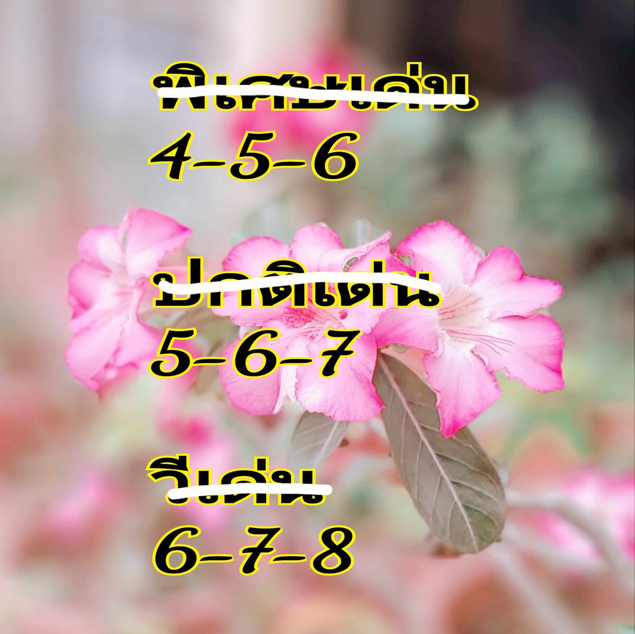 หวยฮานอย 12/9/67 ชุดที่ 2