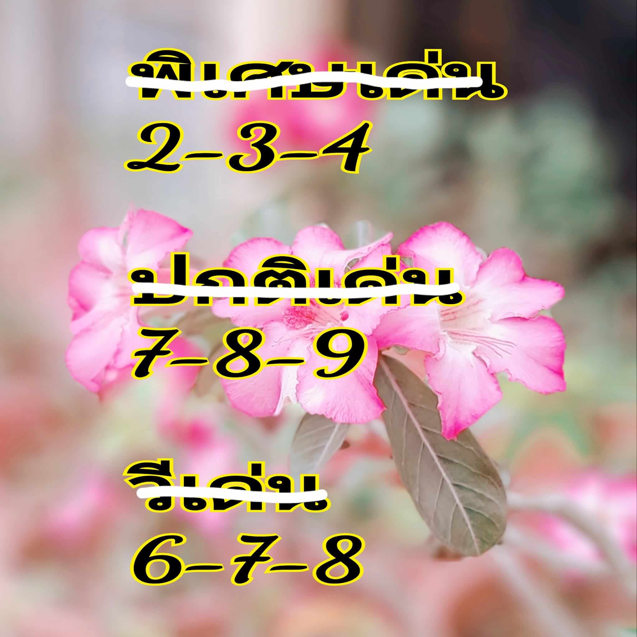 หวยฮานอย 17/9/67 ชุดที่ 3