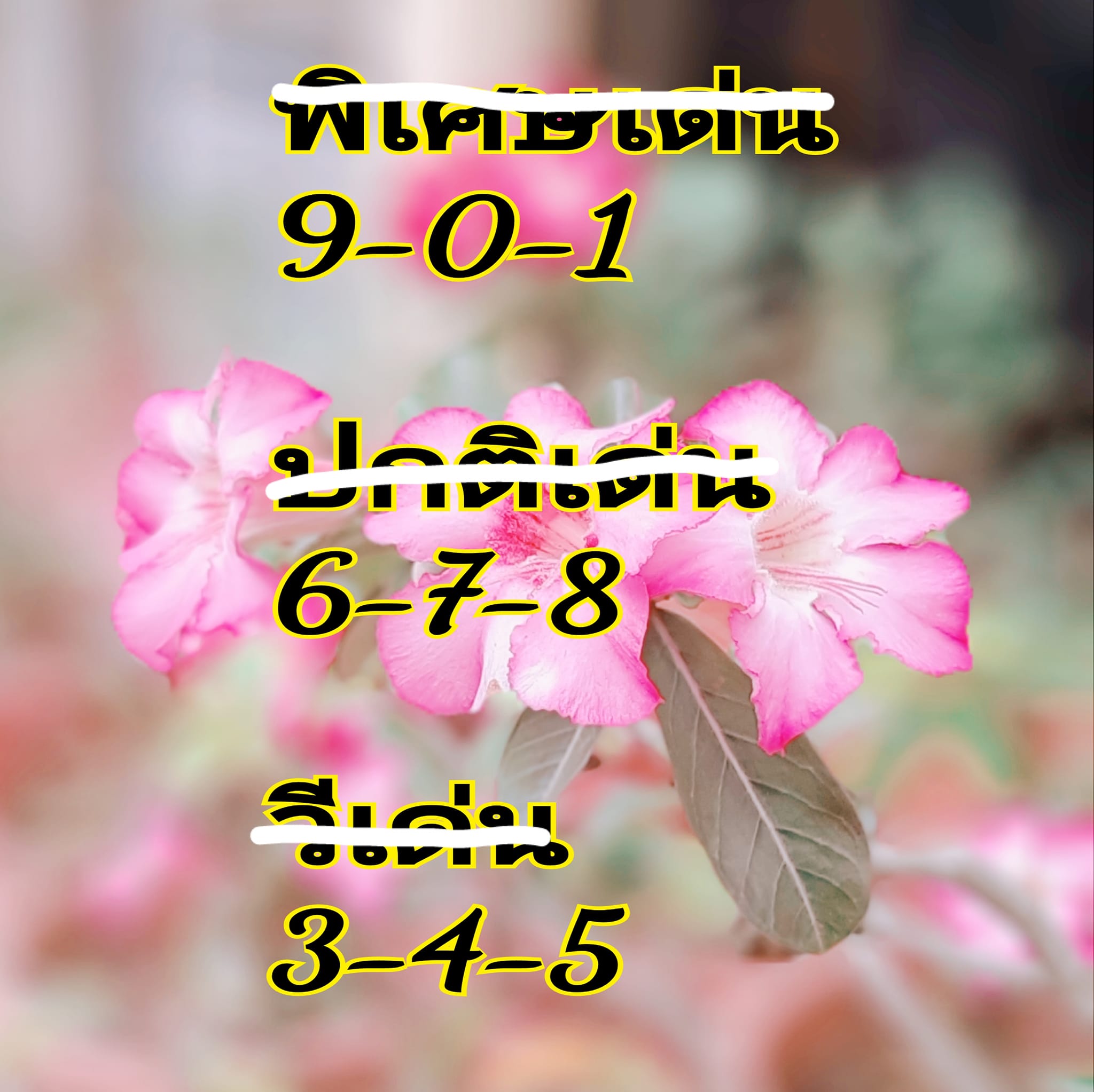 หวยฮานอย 23/9/67 ชุดที่ 5