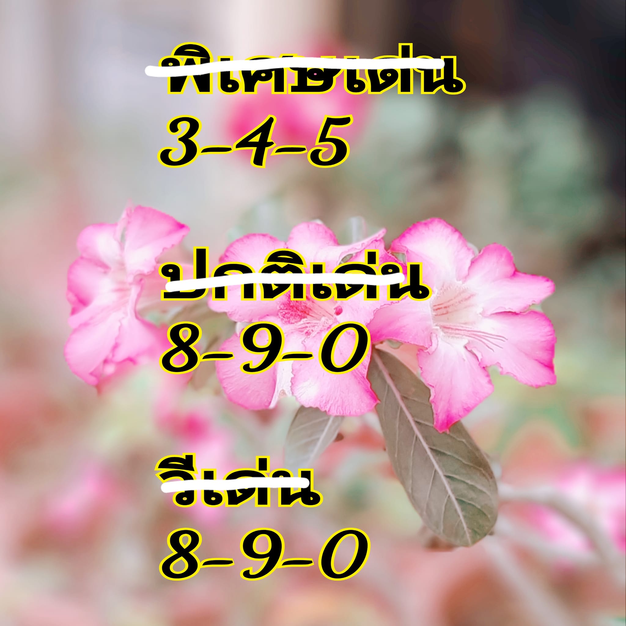 หวยฮานอย 24/9/67 ชุดที่ 5