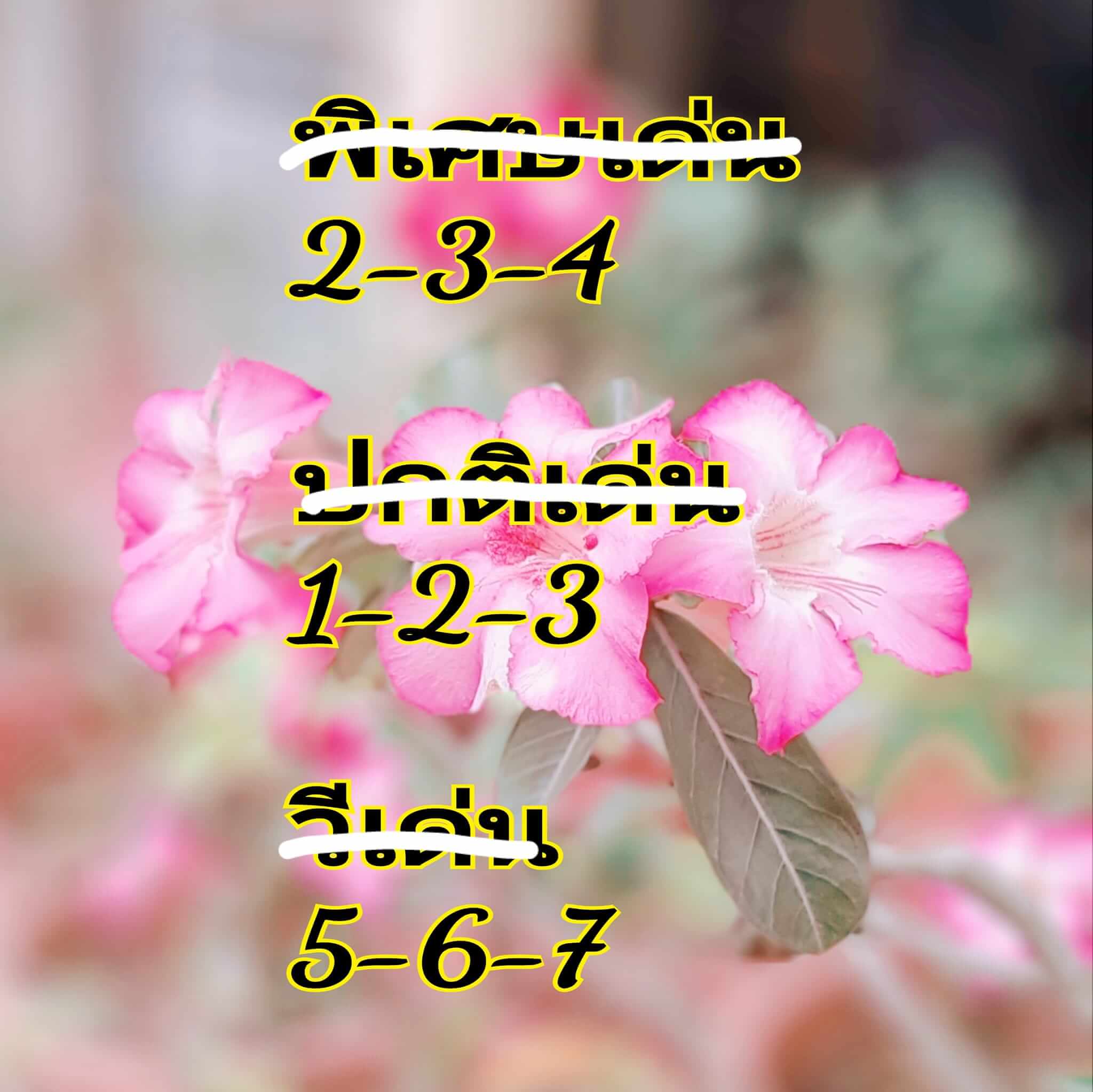 หวยฮานอย 4/9/67 ชุดที่ 8