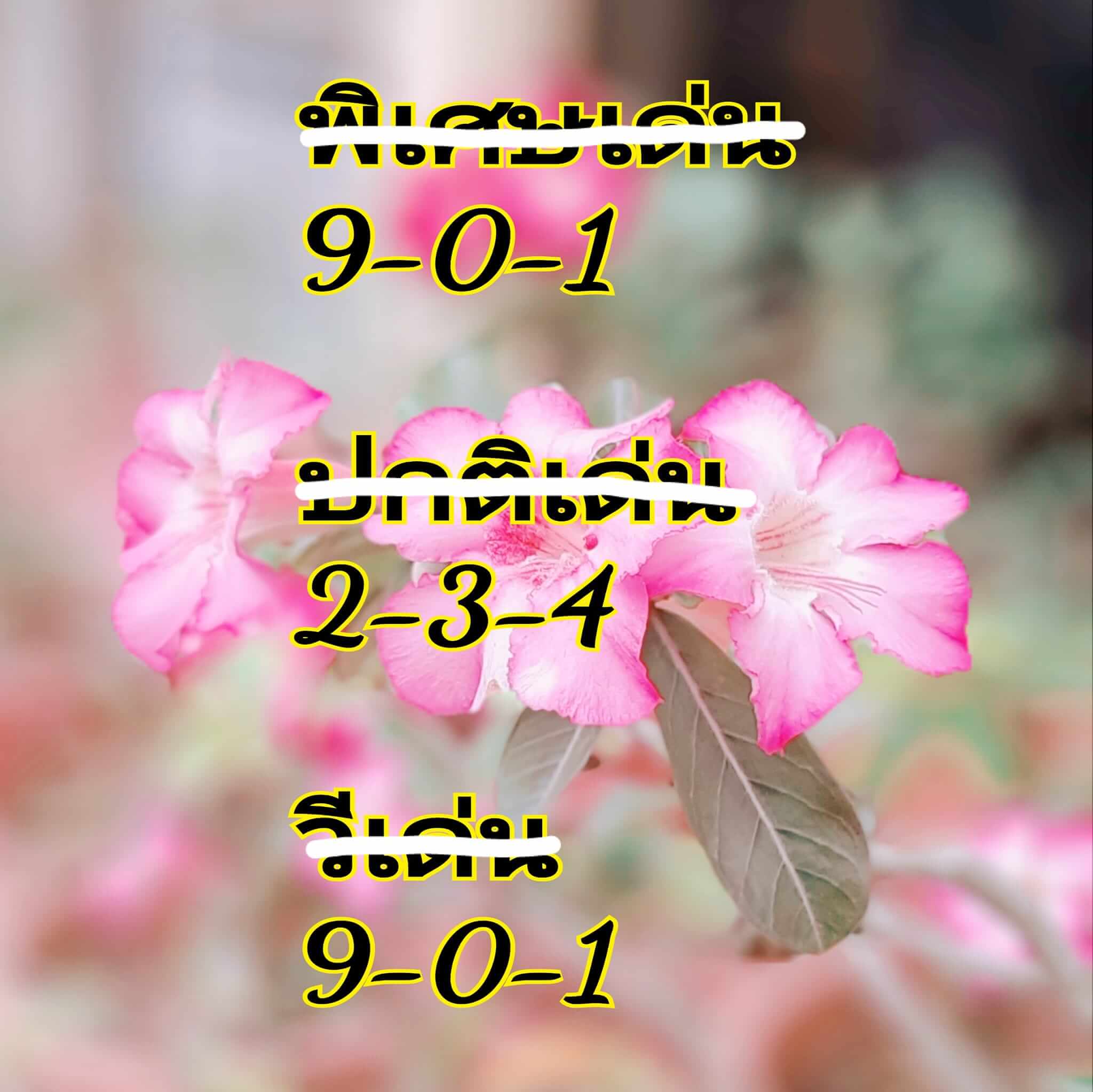 หวยฮานอย 11/9/67 ชุดที่ 9