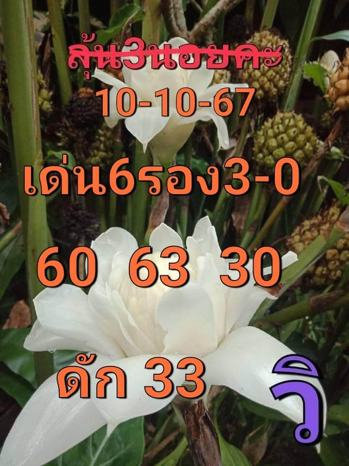 หวยฮานอย 10/10/67 ชุดที่ 8