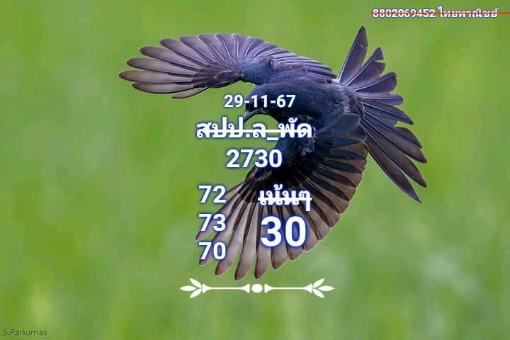 หวยลาว 29/11/67 ชุดที่ 9