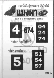 หวยแมงผา 16/11/67