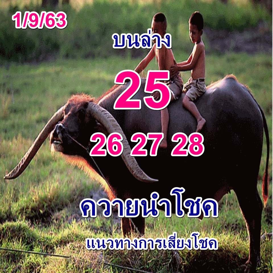 หวยควายนำโชค 1/9/63