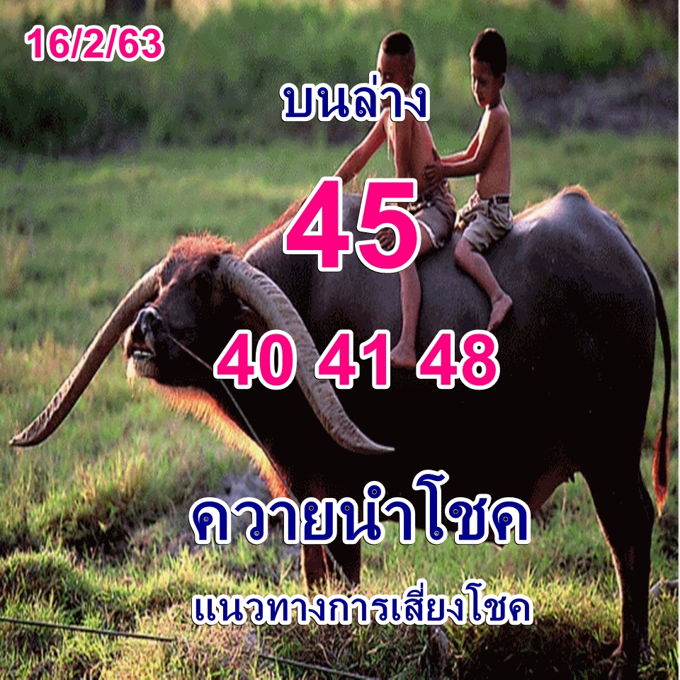 หวยควายนำโชค 16/2/63